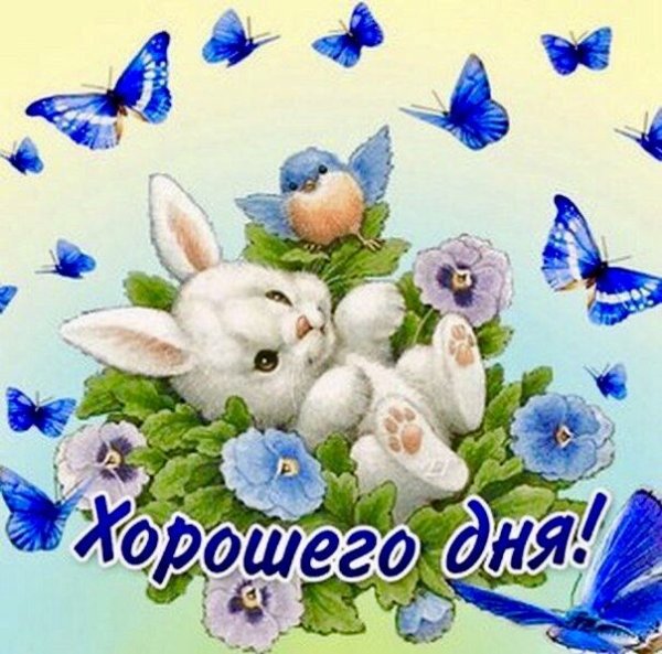 Добрые пожелания зайчика