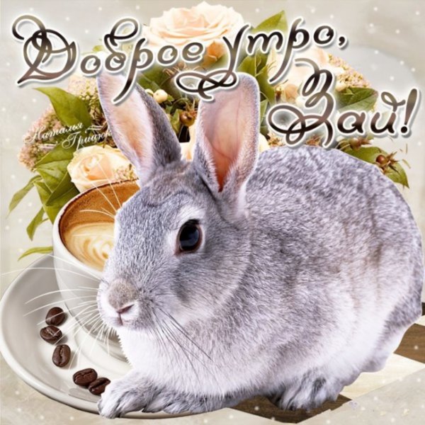 Белочка в ромашках