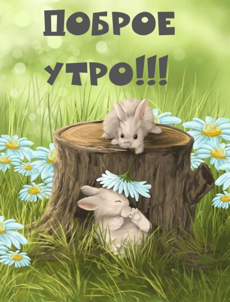 Ракитниковый заяц