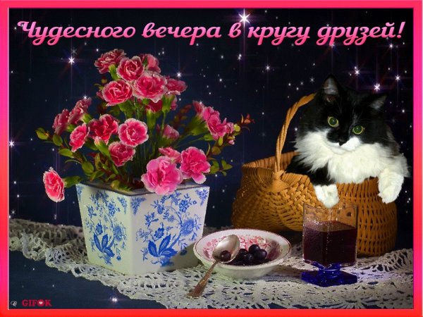 Чудесного вечера