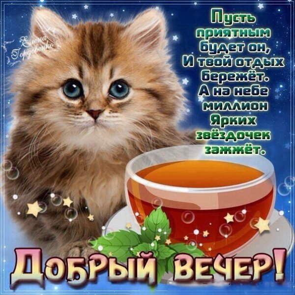 Поздравления с добрым вечером прикольные