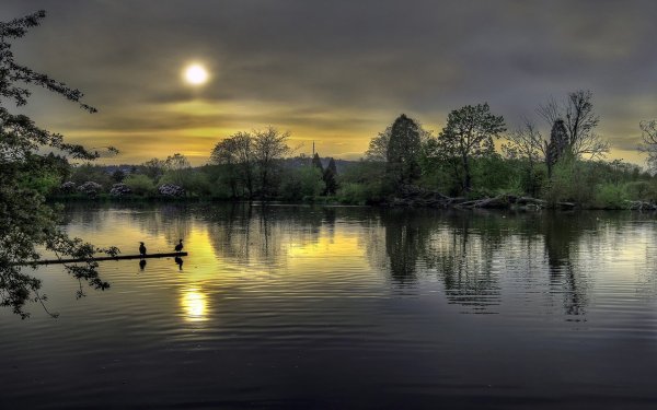 Доброго весеннего вечера природа