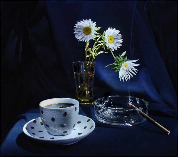 Приятного дня и вечера