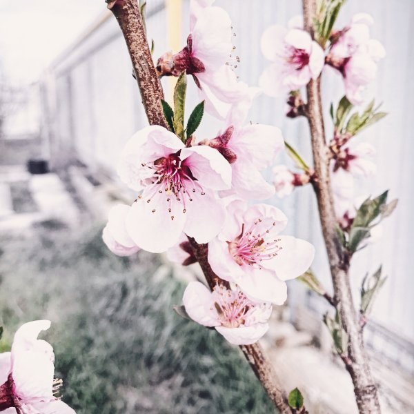 Весна для актуального в Инстаграм