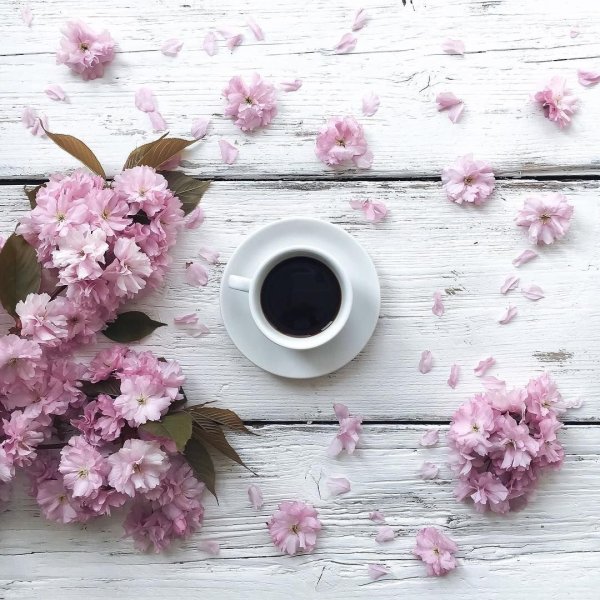 Фон для инстаграма