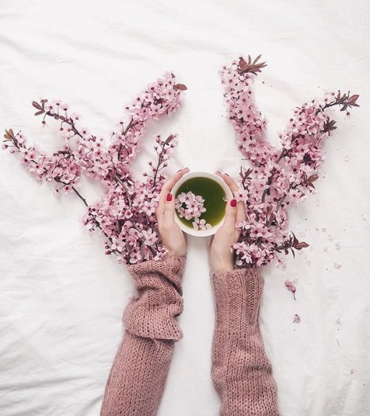 Креатив с цветами