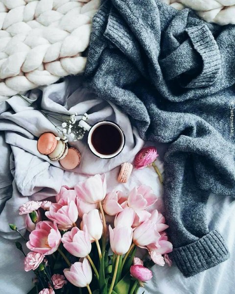 Красивые раскладки с цветами