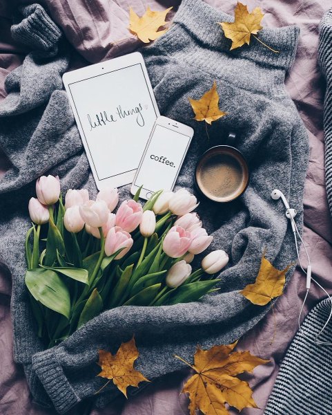 Для инстаграмма