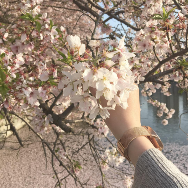 Эстетика весной