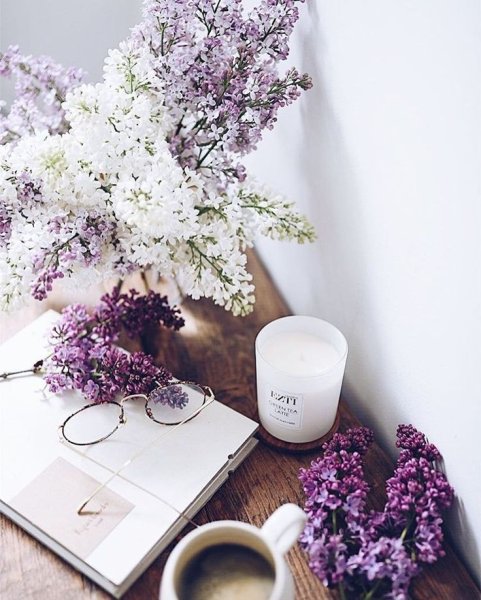 Эстетика в сиреневых тонах