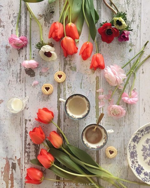 Весенние оттенки для инстаграмма