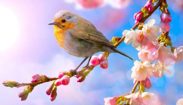 Солнечный весенний день