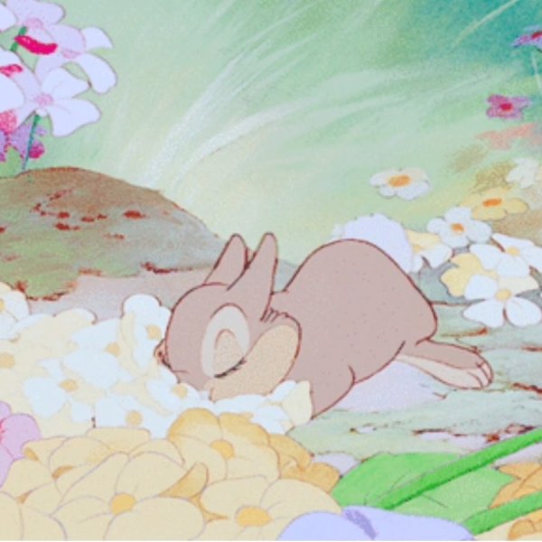 Заяц с ромашкой