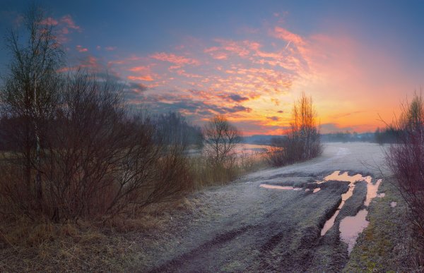 Весеннее утро пейзаж