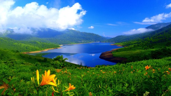 Панорамный пейзаж