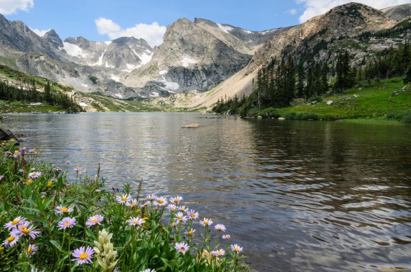 Альпийские Луга Ауадхара