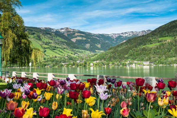 Абхазия горы и море