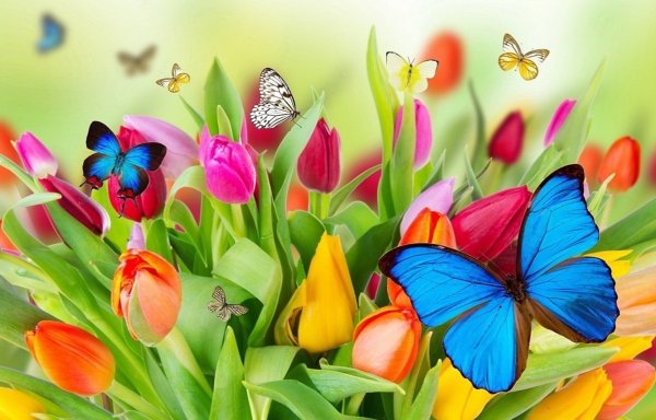 Поздравление с днем рожде