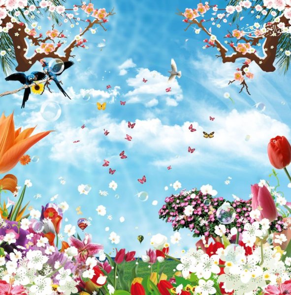 Нежный цветок