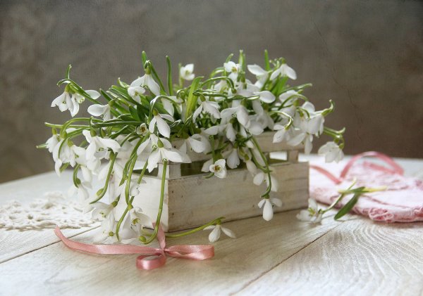 Открытка цветы