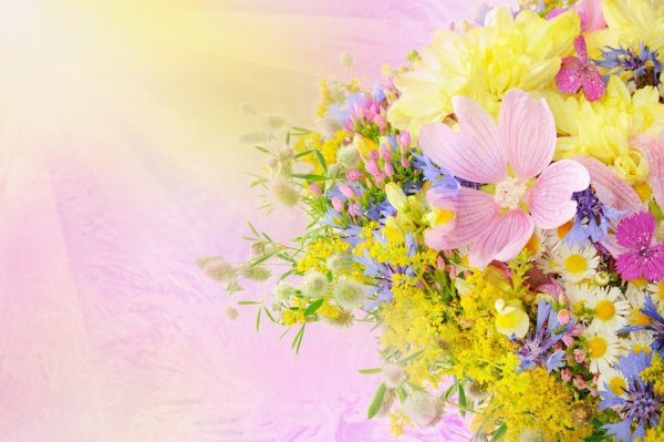 С днем рождения цветы