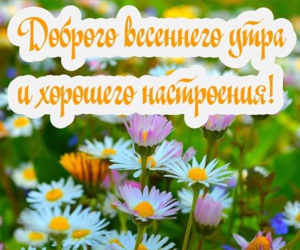 С добрым весенним утром мамочка