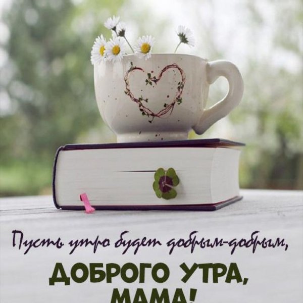 Утро природа