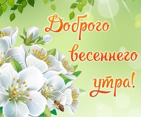 Цветы на светло зеленом фоне