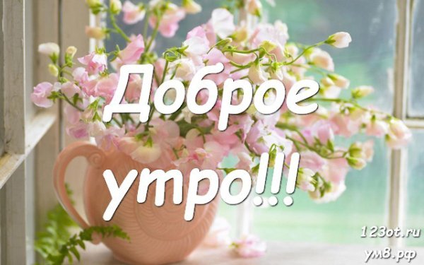 Доброе утро мама