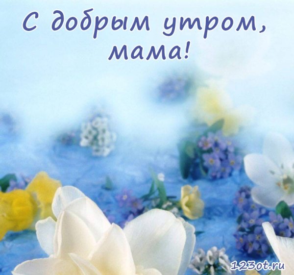 Открытки с добрым утром