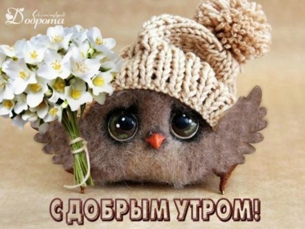 Добрые пожелания с добрым утром куклами
