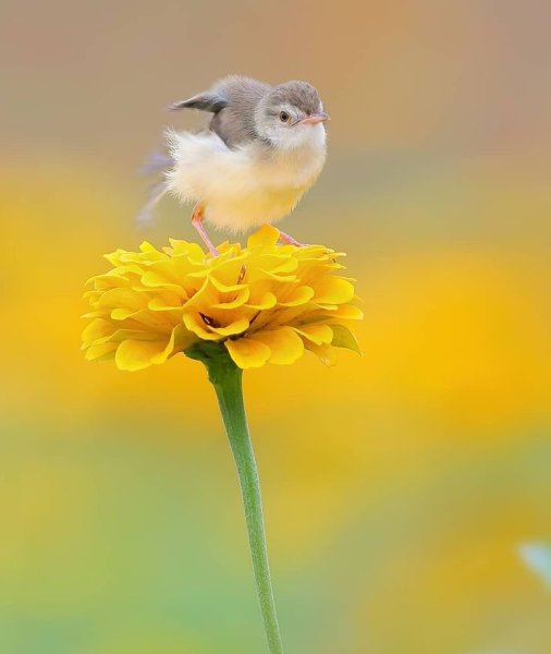 Доброе солнечное утро