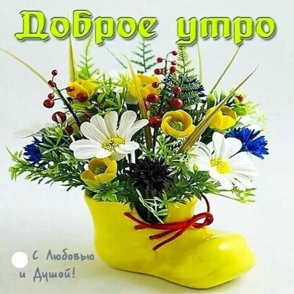 Открытки с добрым весенним утром новые