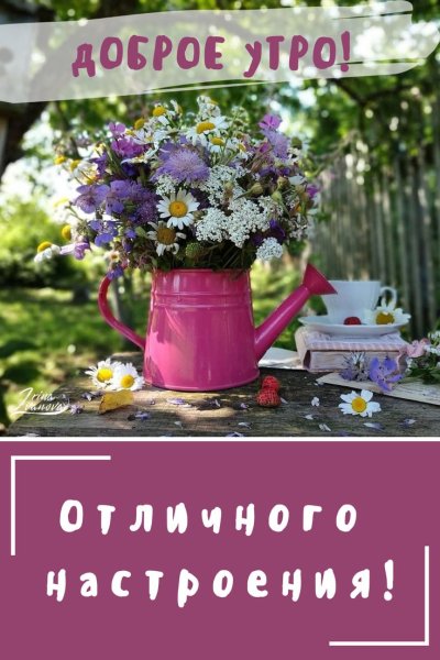 Приятного выходного дня