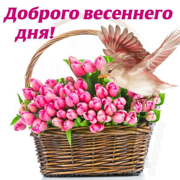 Доброго весеннего дня