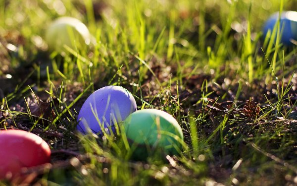 Красивый фон Пасха