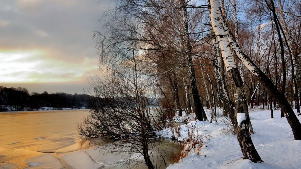 Весна природа просыпается