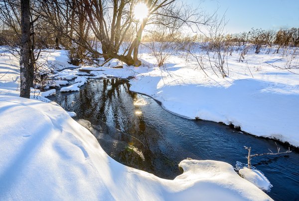 Весна подснежники крокусы
