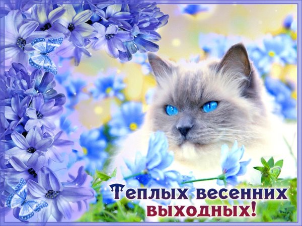 Доброе Воскресное Весеннее утро