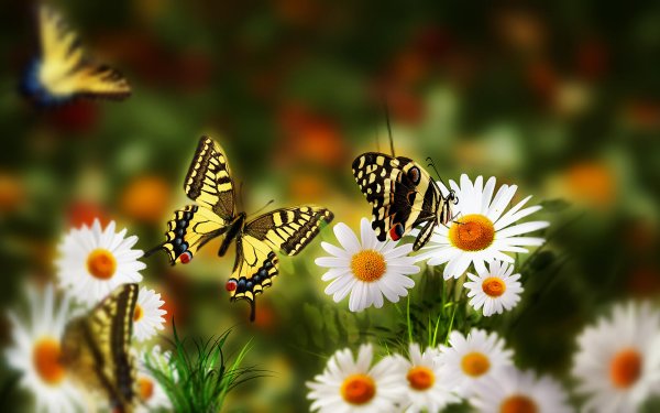 Яркие весенние цветы