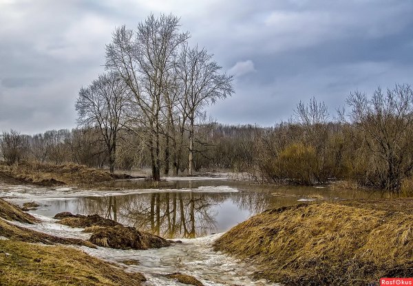 Апрель природа