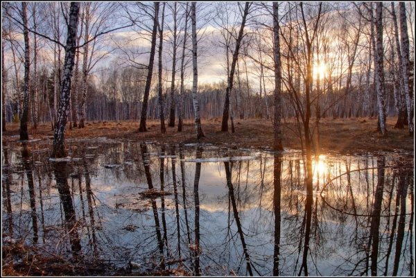 Природа Весна апрель