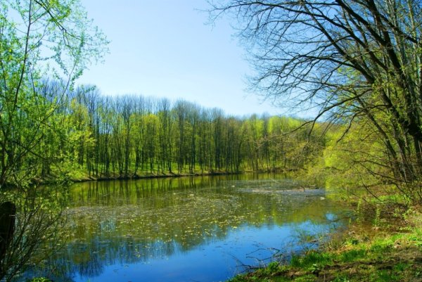 Весна март