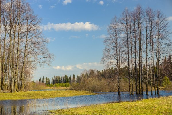 Весенний день