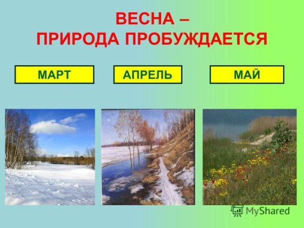 Изменения в неживой природе весной