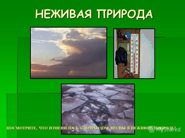 Весенниеявлкние в неживой природе