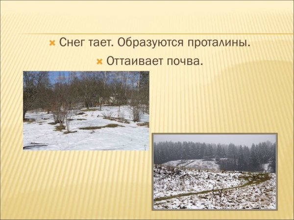 Весенние признаки в живой и неживой природе