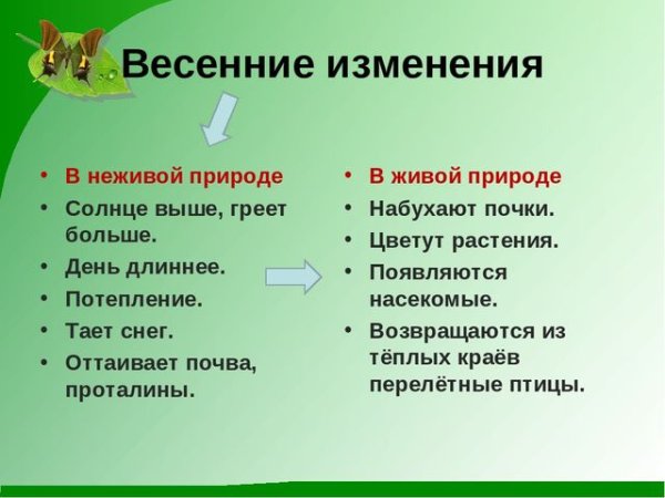 Изменения в живой природе в мае