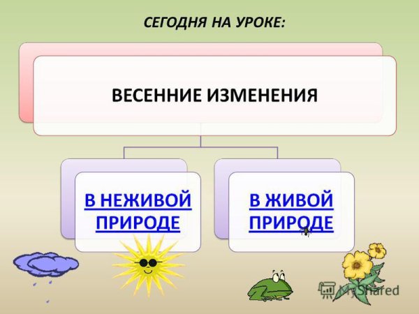 Весенние проявления в живой природе