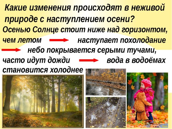 Изменения в природе весной вывод